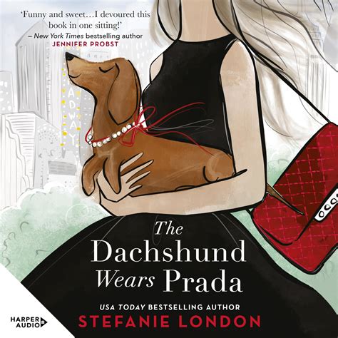 prada dachshund|‎The Dachshund Wears Prada by Stefanie London on Apple Books.